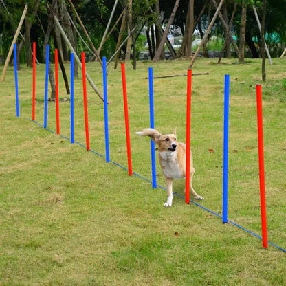 Dog Agility Training Kit Pet Obstacle Course Set Jumps Poles Tunnel Play Kit